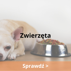 Zwierzęta