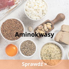 Aminokwasy 
