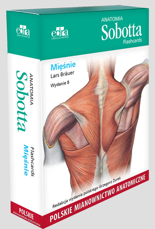 Anatomia Sobotta Flashcards Mi nie Polskie Mianownictwo Anatomiczne 